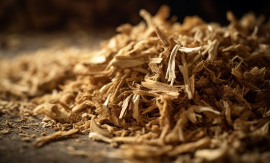 2023生物质燃料行业市场深度分析及发展现状