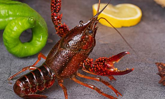 中国生鲜冷链物流行业市场消费现状 中国生鲜冷链物流行业市场投资趋势预测