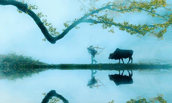 中国美丽乡村建设投资现状 中国美丽乡村建设发展前景预测