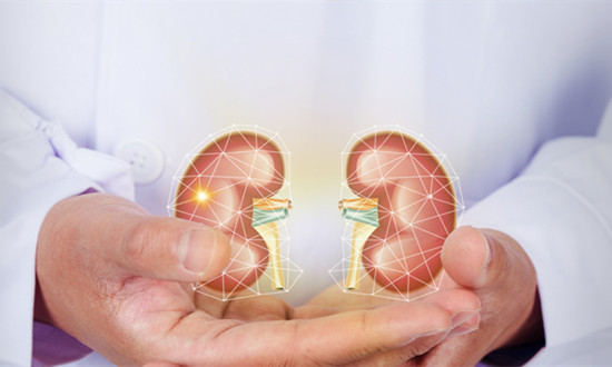 人造器官行业发展现状及市场研究分析报告