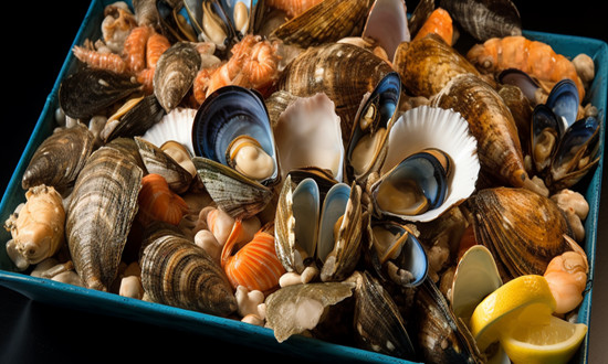 我国是全球的扇贝生产大国 贝类养殖行业发展前景分析