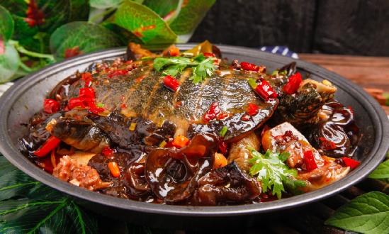 2023年甲鱼养殖市场行情走势 甲鱼养殖行业投资风险分析