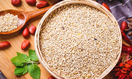 植物性饲料行业需求大吗 2023植物性饲料行业现状分析