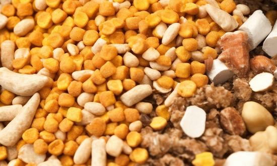 2023狗饲料行业市场运行前景现状分析