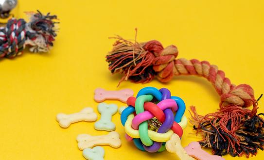 中国宠物玩具行业市场前景如何? 中国宠物玩具行业市场发展现状2023