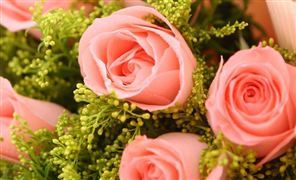 拼手速 每天鲜花拍卖量500-600万枝 交易额达450多万元 鲜花电商市场分析