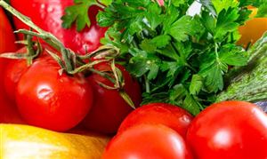 乡村产业振兴重要内容 蔬菜产销理念和模式持续发生更新与变革