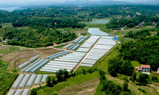 农业生物技术市场现状及前景分析2023