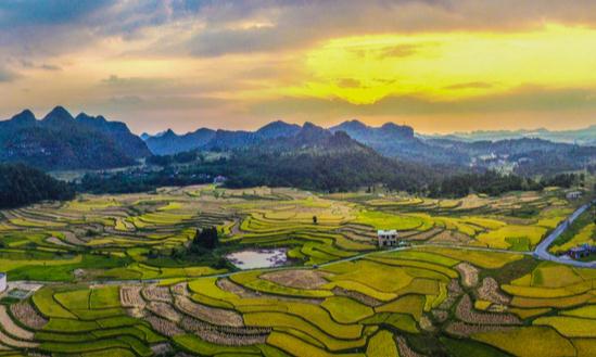 农业产业化联合体市场现状及前景分析2023