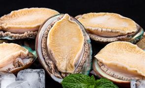 2023年中国鲍鱼行业市场全面分析