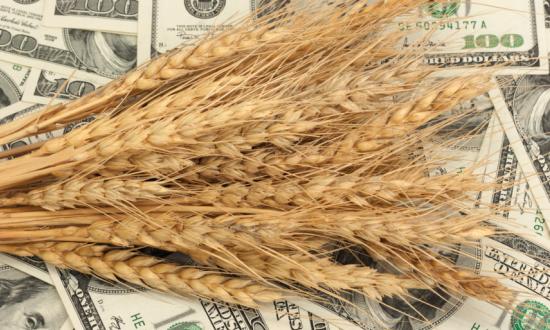 粮食贸易市场投资 2023粮食贸易行业市场现状分析