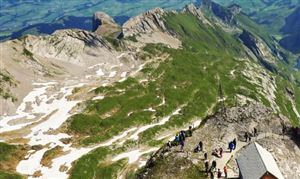 生态修复行业发展前景 生态修复行业发展战略研究