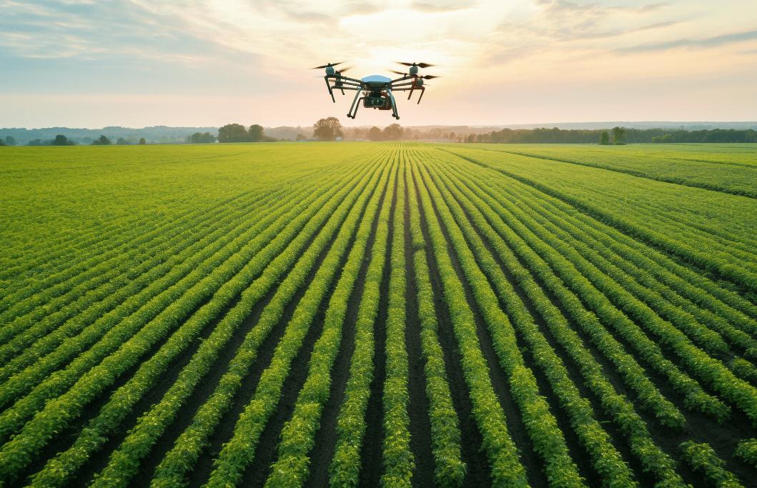 2023高标准农田农田建设进展及投资战略