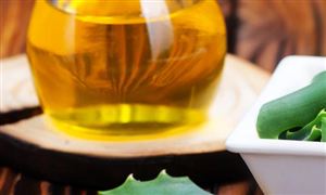 中国DHA藻油零售行业发展趋势分析 中国DHA藻油零售行业投资前景预测