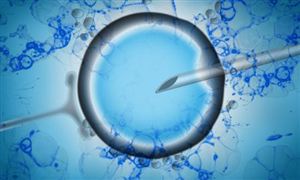 2023生殖健康行业市场前瞻与发展现状深度分析