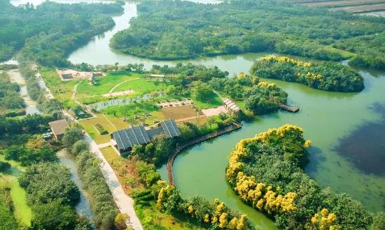 2023湿地开发行业发展现状前景及规划分析