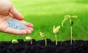 全球化肥行业竞争格局及市场未来发展前景预测2023