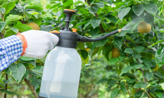 2023无毒生物农药行业市场分析及投资潜力