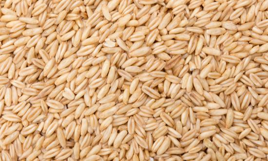 现代农业园区市场现状及发展趋势分析2023