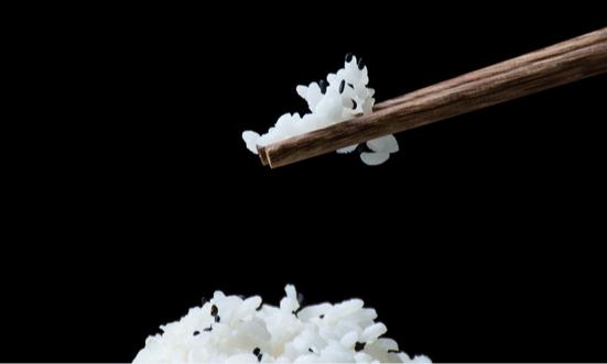 现代观光农业市场现状及发展趋势分析2023