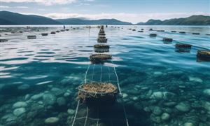 生态养殖市场现状及前景分析2023