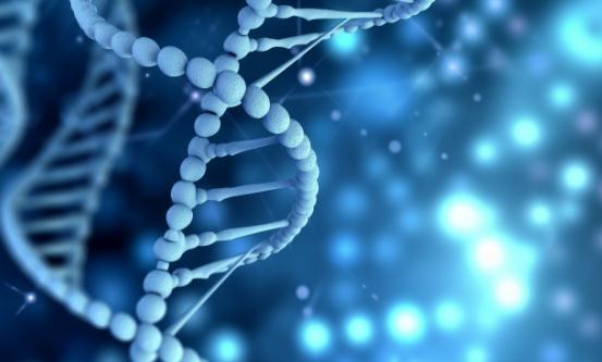 2023智能材料行业发展现状及应用行业分析