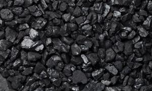 2023兰炭行业发展趋势及投资可行性研究报告