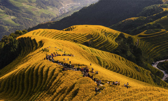 2023观光休闲行业发展分析及前景规划