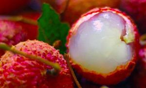 大降价 你爱吃的它 每斤价格已跌至3元 荔枝行业市场发展现状分析