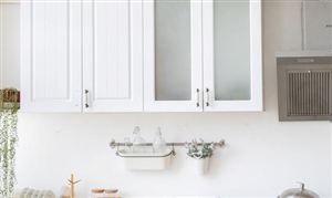 橱柜行业市场发展现状 中国橱柜行业重点企业发展态势分析