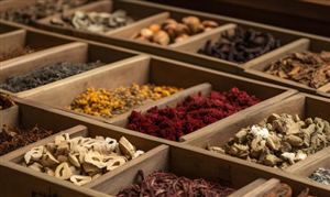 2023年中药注射剂市场投资前景分析