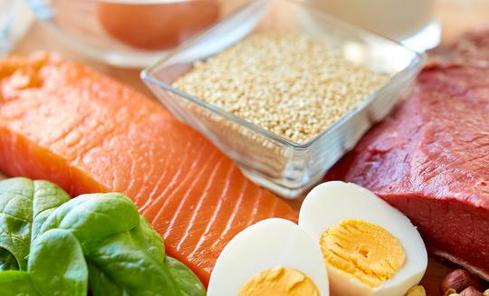 中国蛋白质行业市场发展现状分析2023