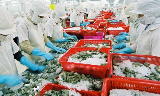 水产品加工行业发展现状前景投资