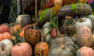 农产品流通行业市场 规模未来将继续扩大 农产品行业市场深度分析