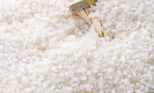 ，我国大米加工行业市场前景如何？ 2023年大米加工行业市场深度分析