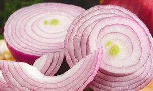 洋葱市场现状及前景分析2023