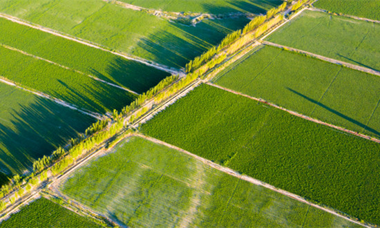 现代观光农业行业现状分析及未来发展规划