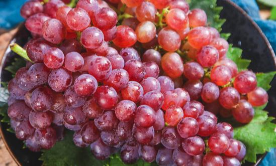 红提市场前景及发展趋势分析2023