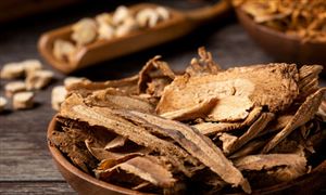 一个月涨幅超72% 经销商疯狂抢货 当归行业市场深度调研