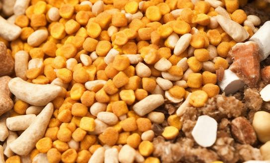 中国饲料原料市场发展现状分析2023