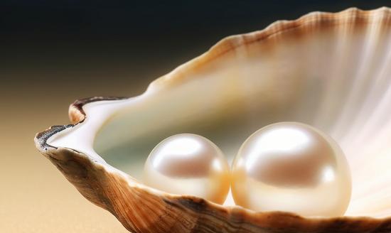 中国贝类养殖行业发展现状分析2023