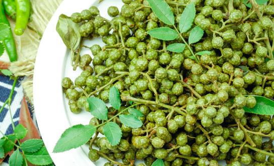 2023年青花椒行业市场投资价值分析