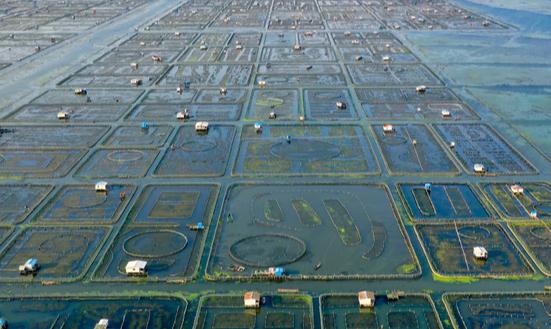 大闸蟹养殖市场发展趋势及现状分析2023