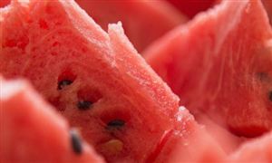 西瓜行业发展现状及前景分析2023