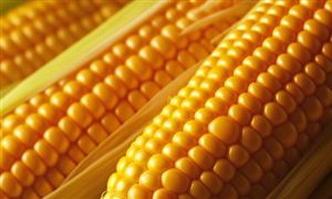 农产品检测市场发展趋势及现状分析2023