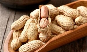 花生行业发展前景及现状趋势分析2023