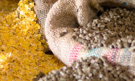 牲猪饲料市场发展趋势及现状分析2023