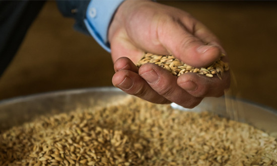 中国拟立粮食安全保障法 粮食仓储设备行业市场前瞻