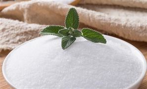 中国食用盐行业市场需求 中国食用盐行业发展规划研究