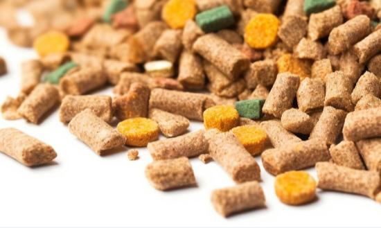 猫饲粮市场发展现状及前景分析2023